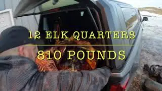 “Cargo Ease”  Bedslide Review