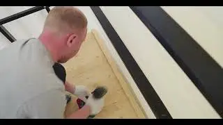 Tingard Секреты производства
