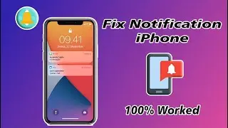 How to solve iPhone notifications that can't appear (explanation with methods)