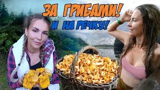 ПЕРЕЕХАЛИ В ДЕРЕВНЮ - кайф! С утра в лес ЗА ГРИБАМИ, а потом купаться! Красота и уединение!