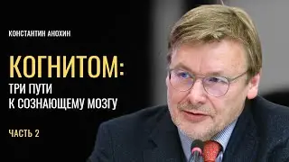 Когнитом: три пути к сознающему мозгу. Константин Анохин. Часть 2