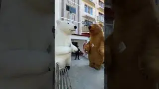 Ayiqlar tuyda uynashi roddom samarqand bears 2023