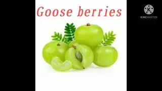 Food against COVID 19