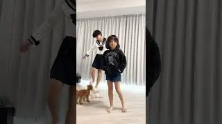 そんなに冷たい目で見ないで…🐕#はるくんの部屋 #dance