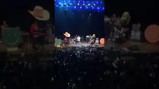 Mac Demarco- Chamber of Reflection (San Francisco, Ca)