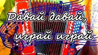 Давай давай, играй играй, мой гармонист