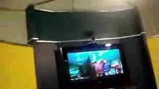 Dancing at the Zoo