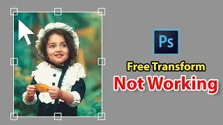 Photoshop Free Transform Tool Not Working  | How Too Use Free Transform | Photoshop Free Transform