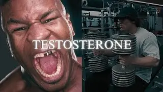 𝐀𝐃𝐑𝐄𝐍𝐀𝐋𝐈𝐍 | 𝐓𝐄𝐒𝐓𝐎𝐒𝐓𝐄𝐑𝐎𝐍𝐄