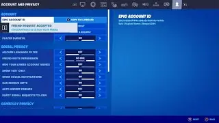 I Fix The Auto Friend request in Fortnite