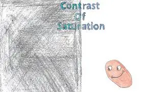 Contrast Of Saturation - Animated Short