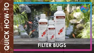 Filter Bugs | Quick How-To