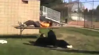 Wrestling gone wrong!