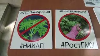 День борьбы с амброзией