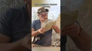 Что СКРЫВАЕТ камень? НАШЁЛ и ПОЧИСТИЛ окаменелость. 