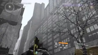 Division Chopper Bug