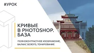 Кривые в Photoshop (Curves). Полноконтрастное изображение, тонирование [Для начинающих]