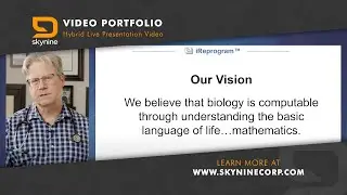 Virtual Multi-Windowed Presentation