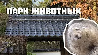 Парк животных в Амерсфорте (снято вертикально)