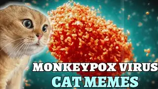 Monkeypox Virus : Cat Memes