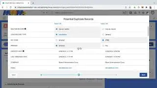 Dealing with Duplicates in Salesforce