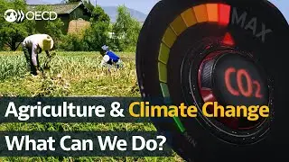 Agriculture and climate change. What's the issue, and what can policymakers do?