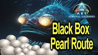 Black Box Pearl Route and Tips | Ark Ascended