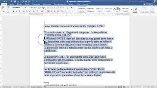 📖​  Resumen Documento Ideario APG 📖​