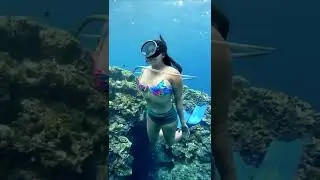 Best insta pages for swimsuits? 👙