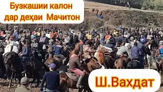 Бузкашии Калон Дар Деҳаи Мачитон Ш.Вахдат 20.11.2022