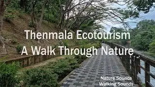 Thenmala Ecotourism - A Walk Through Nature