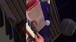 Hohner Meditation