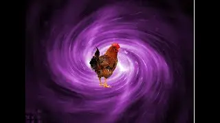 Chicken Go Cluck