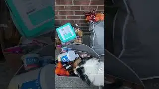 Dumpster diving at shoppers in Toronto