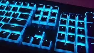 Pudding Keycaps On Razer Huntsman v2 Optical