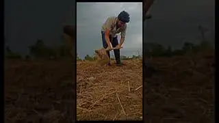 AB dunya Chaya | Tralier | #shorts #viral  ​⁠ #comedy #funny #hindi🌍💯💶