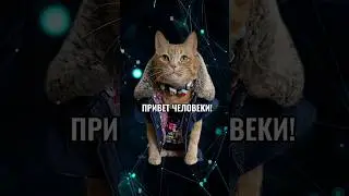 Привет человеки 