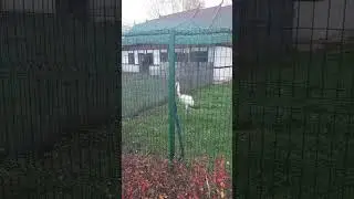 Цените время жизни