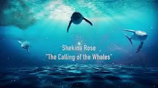 Calling of the Whales Language of Light Transmission Awakening Music
