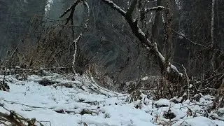 Зима в S.T.A.L.K.E.R.