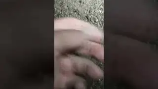 ну наконец то первое золото со шторма