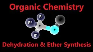 Organic Chemistry - Reactions of Alcohols | Dehydration and Ether Synthesis
