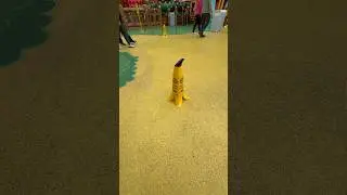 Banana Slip 🍌