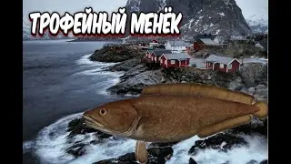 РР4 / Трофейный менёк / Норвежское море / Вырезка со стрима