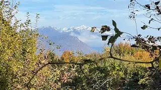Какова красота в ноябре, Сочи