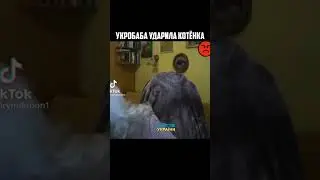 УкроБаба ударила котёнка в прямом эфире 