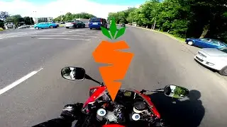 Carrot'd Wednesday EP.4 Helmet/Camera/Cuckoo Protection