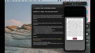 Safety User Generated Content | Apple Store App Rejection