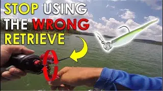 I used the Wrong Retrieve for YEARS! | Underwater Scrounger Head Bait Testing in Olympic Pool