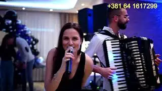 Najbolji bendovi za svadbe BABAROGA BEND NOVI SAD 